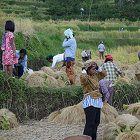 Photo de Bali - Autour de Munduk